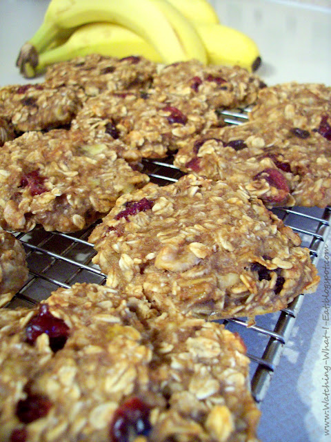 Banana and Oat Cookies (Sugar-Free, Egg-Free, Dairy-Free, and Flour-Free)